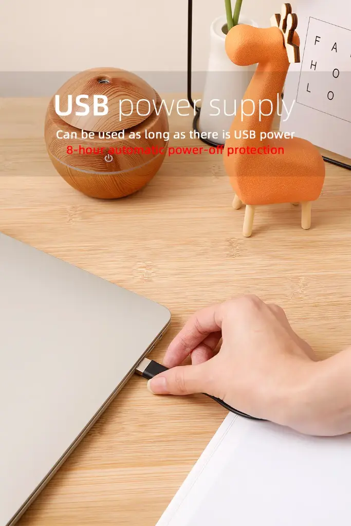 5.webp